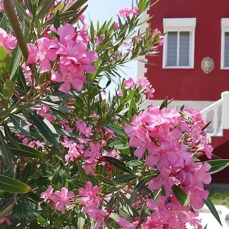 基弗特里克酒店 Çeşme